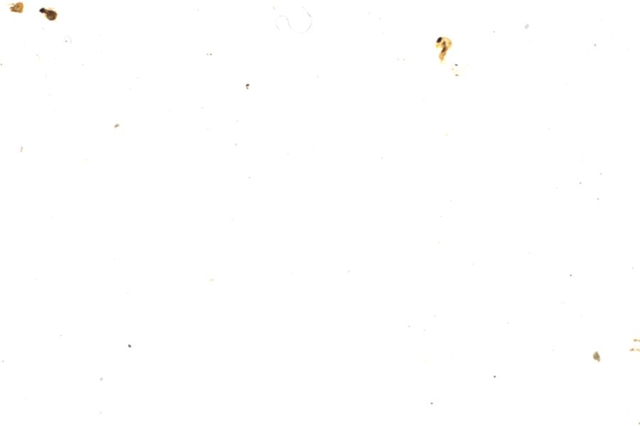 Image 27